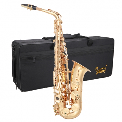 Glarry Student E Flat Alto SAX Saxophone Gold Black - Glarry UK